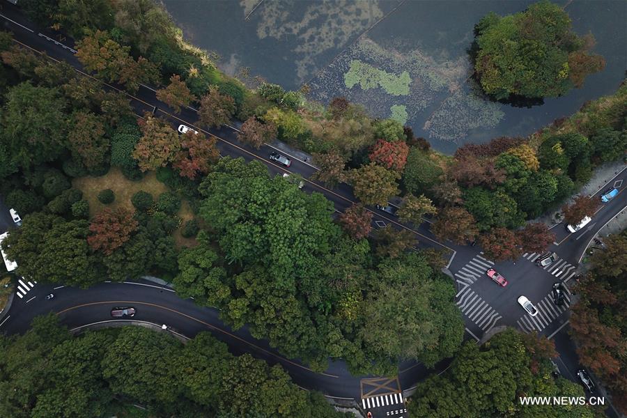 （秋季美丽生态）（2）杭州西湖：多彩的秋意