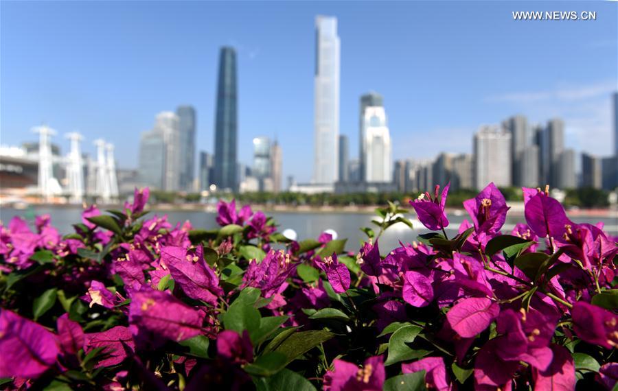 （经济）（4）广州：灯海花城向世界展示“财富美”