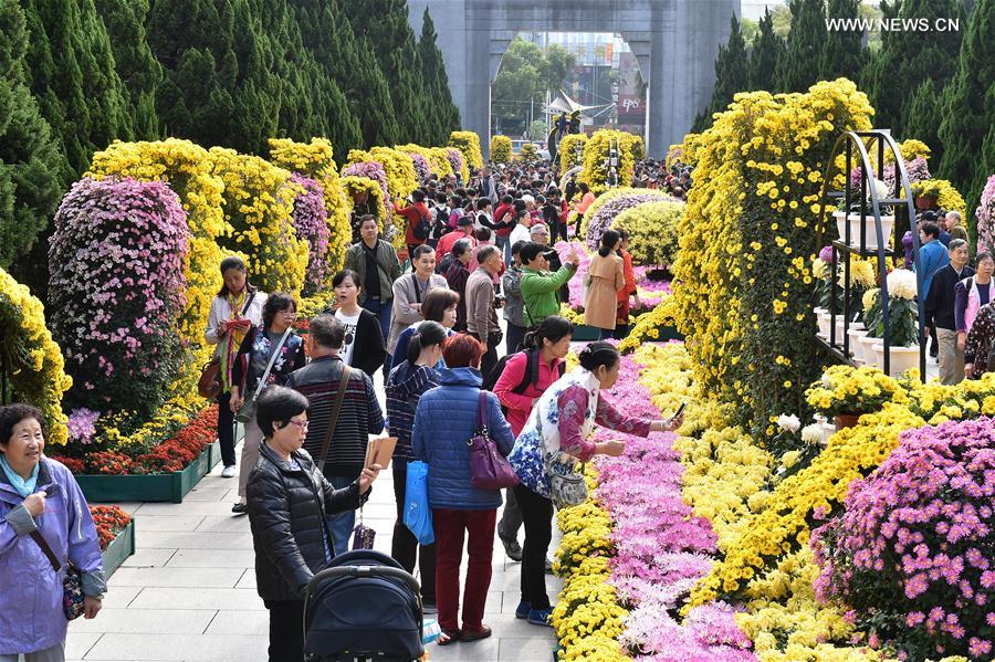 （经济）（6）广州：灯海花城向世界展示“财富美”