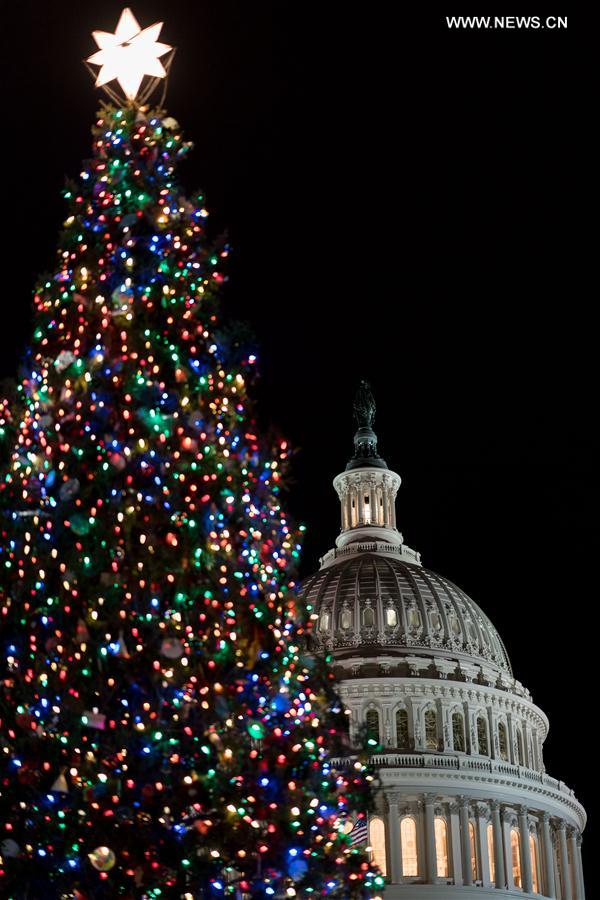 （国际）（2）华盛顿点亮国会圣诞树