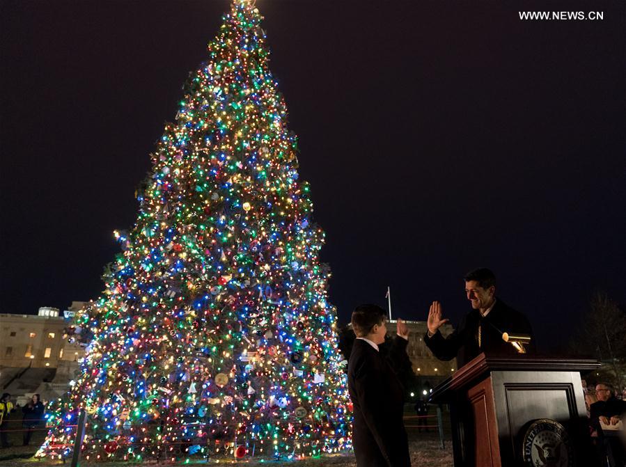 （国际）（4）华盛顿点亮国会圣诞树