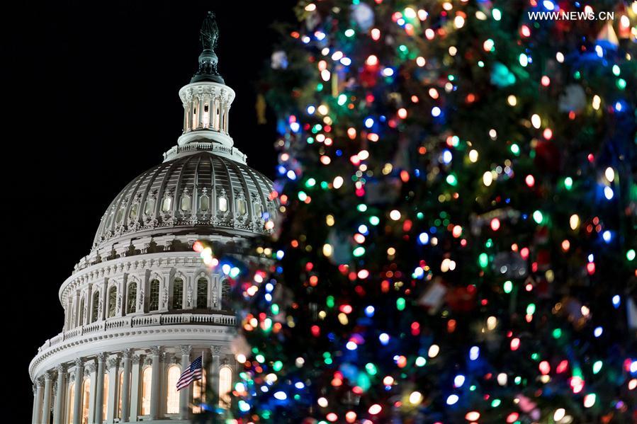 （国际）（5）华盛顿点亮国会圣诞树