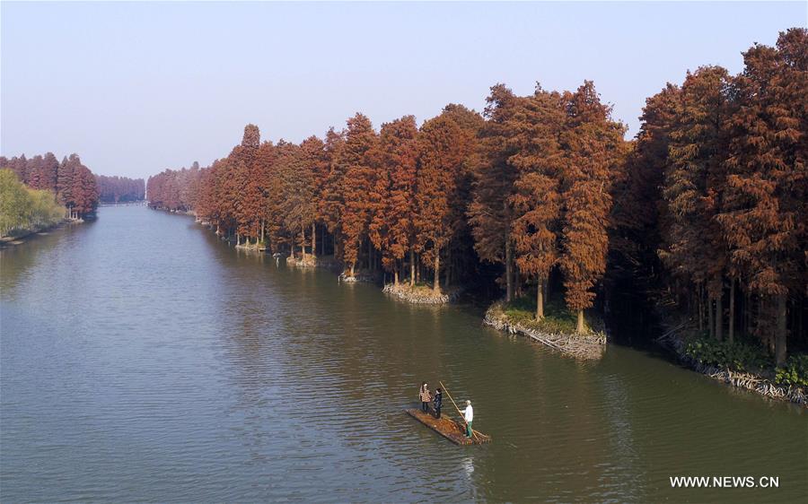 #CHINA-JIANGSU-XINGHUA-WATER FOREST (CN)