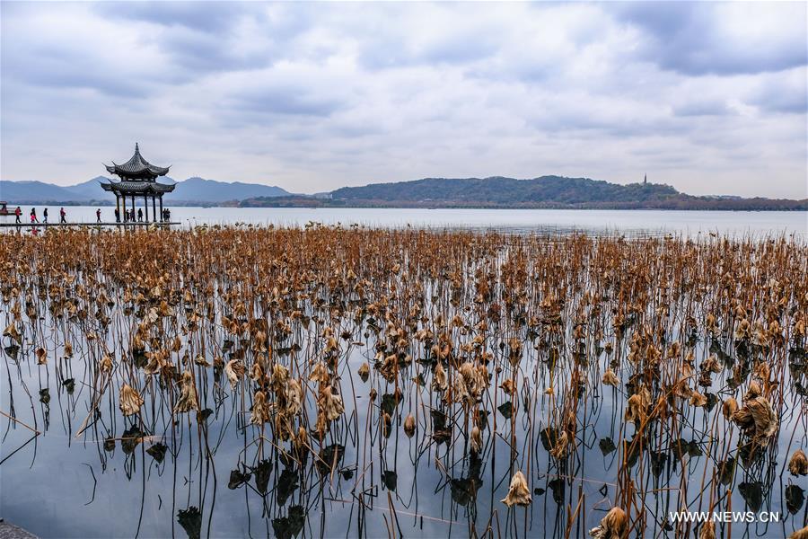 （美丽中国）（2）冬日西湖呈现“多彩画卷”