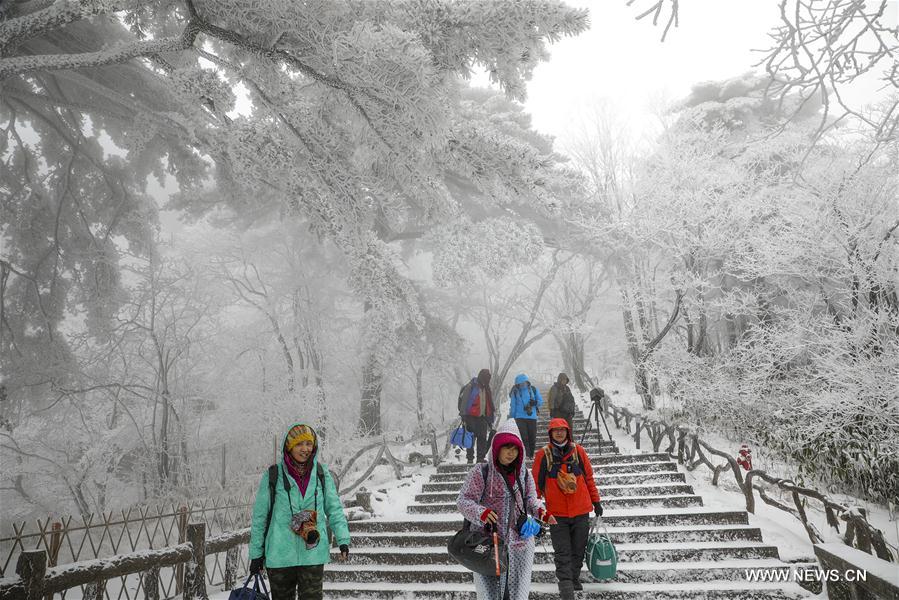 #（环境）（2）安徽黄山迎来今冬首场降雪