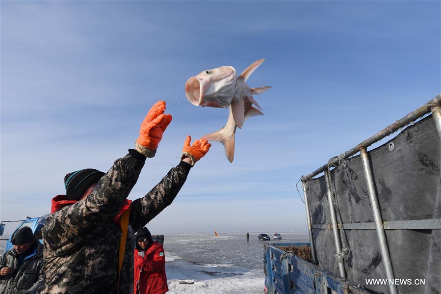 （新华视界）（5）吉林松原：查干湖开启渔猎冬捕季