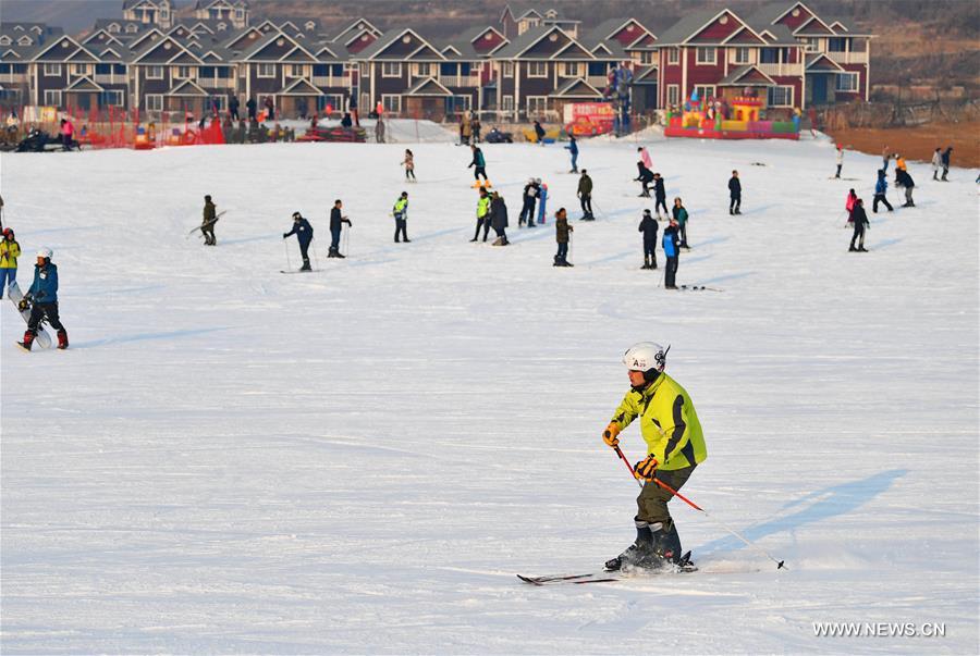 （体育）（1）滑雪——周末滑雪热