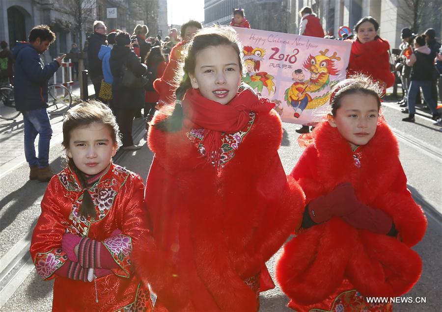 （国际）（5）比利时华侨华人举办2018春节巡游