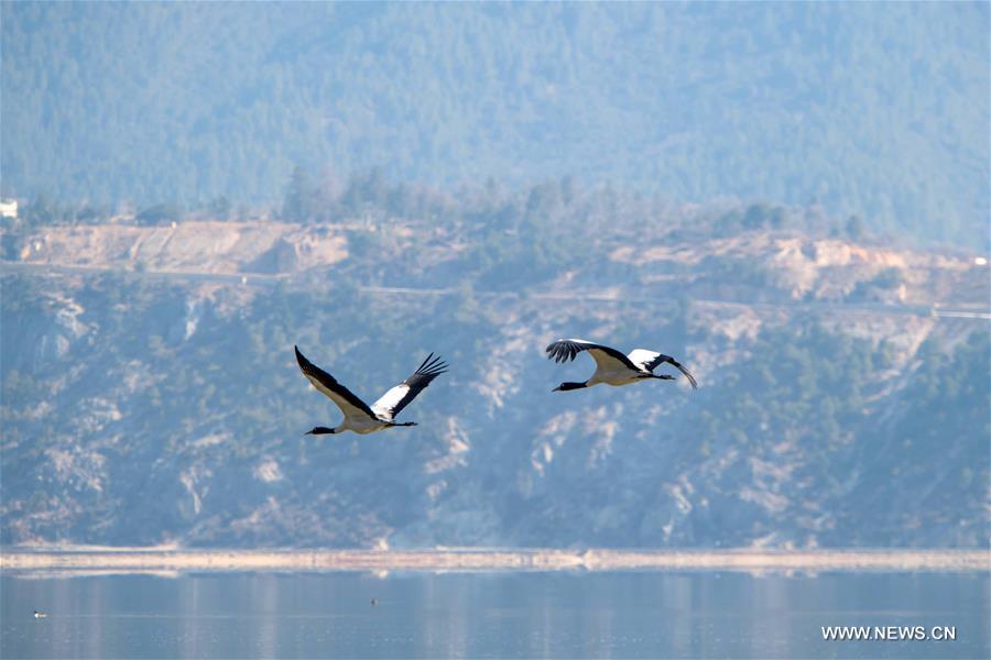 الصورة: محمية للأراضي الرطبة في يوننان