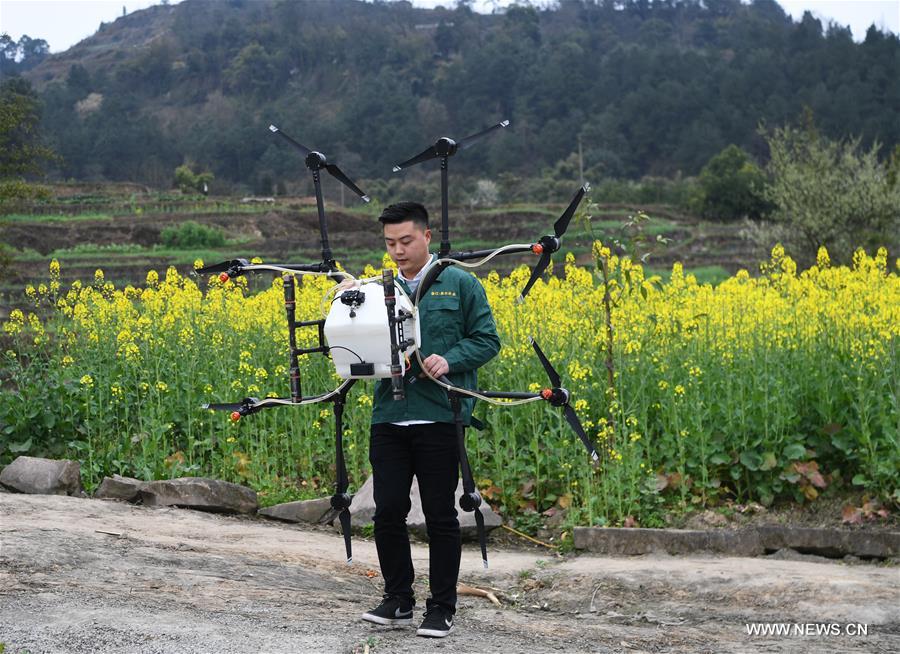 الصورة: طائرة بدون طيار تساعد في الإنتاج الزراعي جنوب غربي الصين