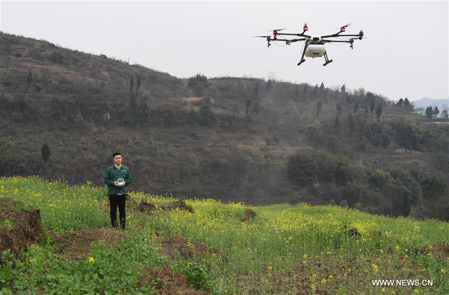 الصورة: طائرة بدون طيار تساعد في الإنتاج الزراعي جنوب غربي الصين
