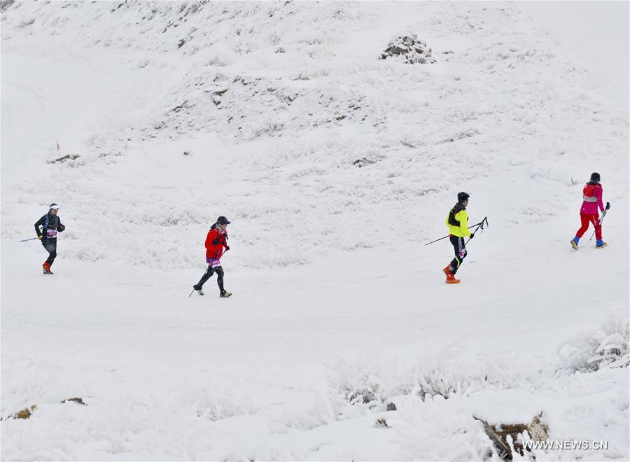 （体育）（3）全民健身——乌鲁木齐：冰雪难挡“跑步热”
