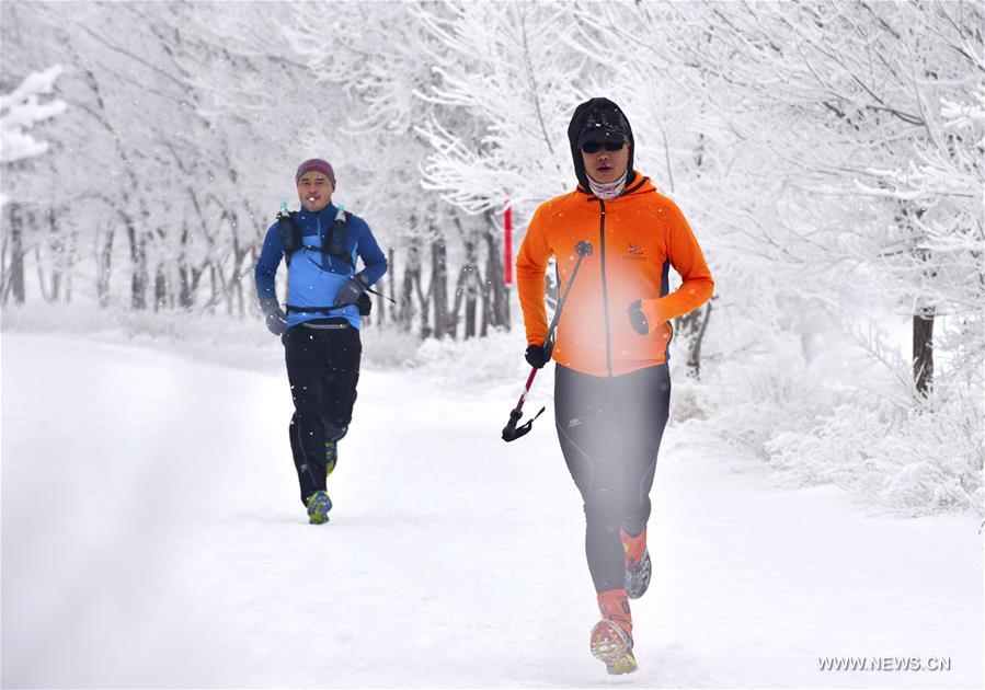 （体育）（4）全民健身——乌鲁木齐：冰雪难挡“跑步热”
