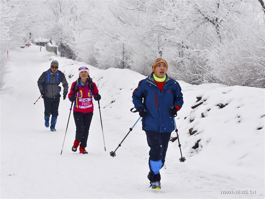 （体育）（2）全民健身——乌鲁木齐：冰雪难挡“跑步热”