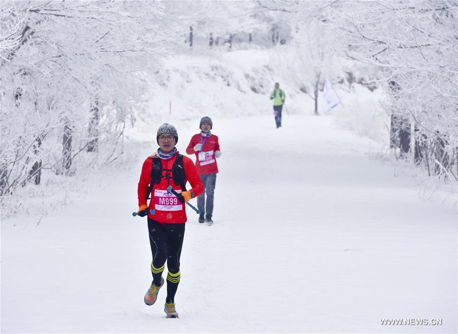 （体育）（1）全民健身——乌鲁木齐：冰雪难挡“跑步热”