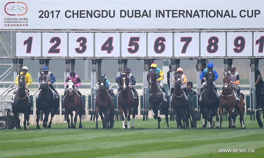 （体育）（1）赛马——成都·迪拜国际杯赛马经典赛举行