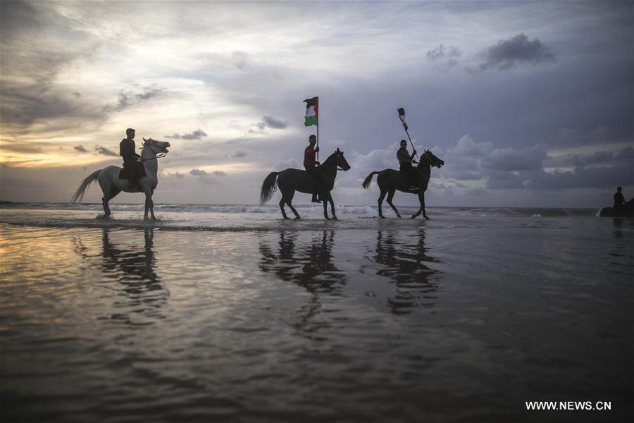 الصورة: فلسطينيون يشاركون في مسابقة محلية للخيول والجمال في غزة
