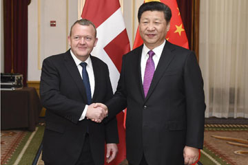 شى يدعو إلى تطور أكبر فى العلاقات الصينية-الدنماركية