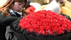 سوق الزهور تزدهر بمناسبة حلول عيدي الحب والربيع بمقاطعة يوننان