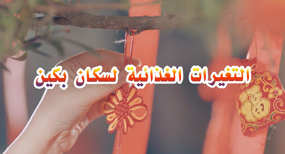 الفيديو: بيتي في بكين: التغيرات الغذائية لسكان بكين