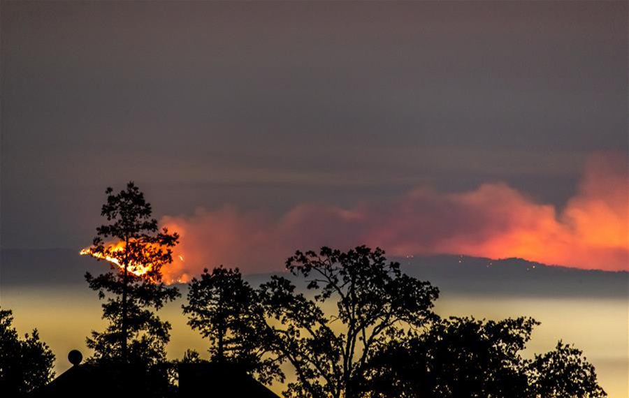 حرائق الغابات تغلق أكثر من 20 متنزها في منطقة خليج سان فرانسيسكو