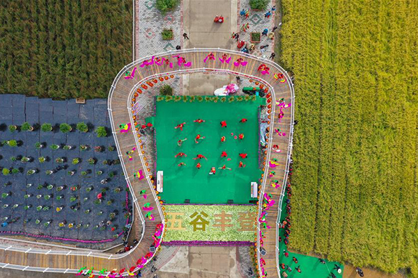 إقامة فعاليات للاحتفال بمهرجان حصاد المزارعين الصينيين في شمالي الصين
