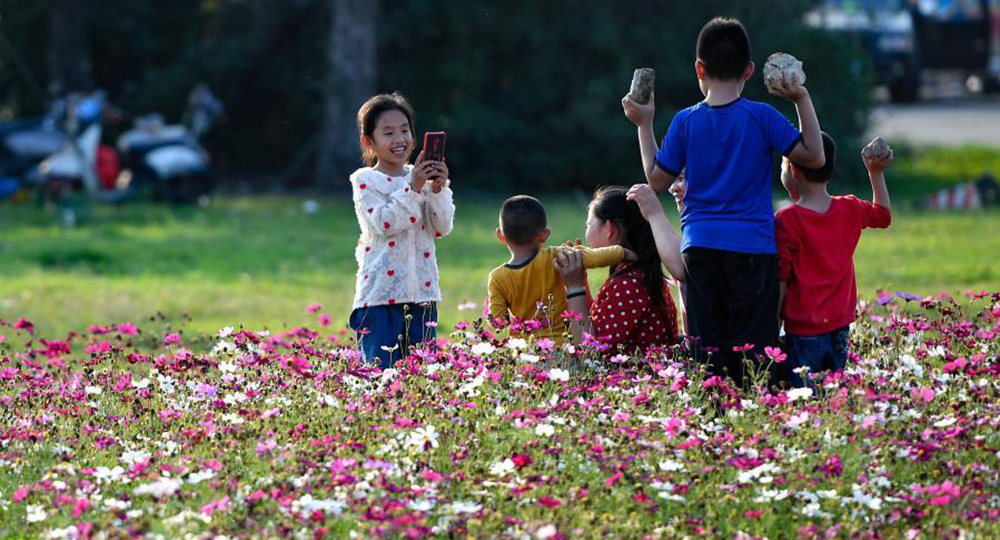 مناظر الزهور في هايكو بجنوبي الصين