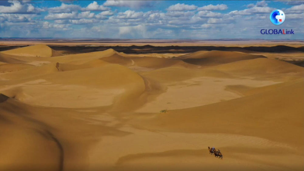 فيديو: تجربة الزراعة الصحراوية تؤتي ثمارها في الصين وينتظرها مستقبل واعد في الدول العربية