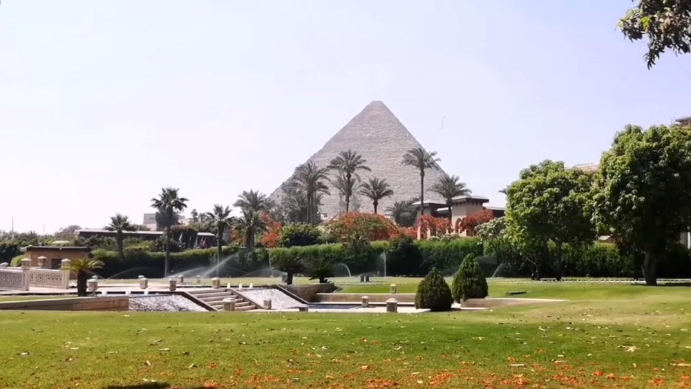 فيديو: ازدهار أشجار اللهب في القاهرة