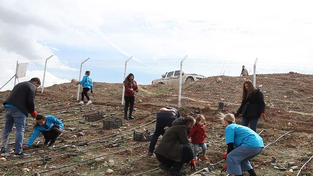 فيديو: متطوعون يزرعون 2000 شجرة بلوط في كردستان العراق