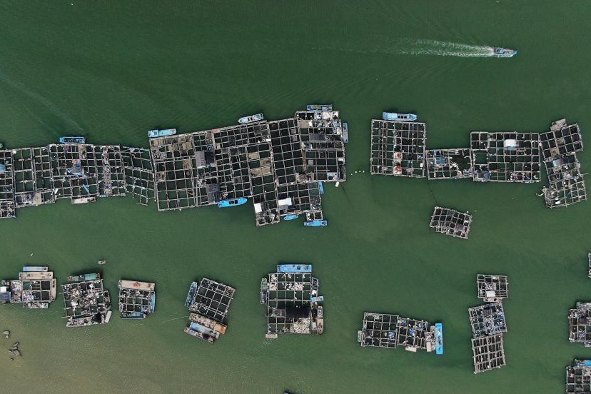 تربية الأحياء المائية في مقاطعة قوانغدونغ بجنوبي الصين