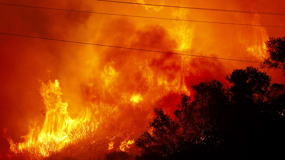حرائق غابات في سانتا باربارا الأمريكية