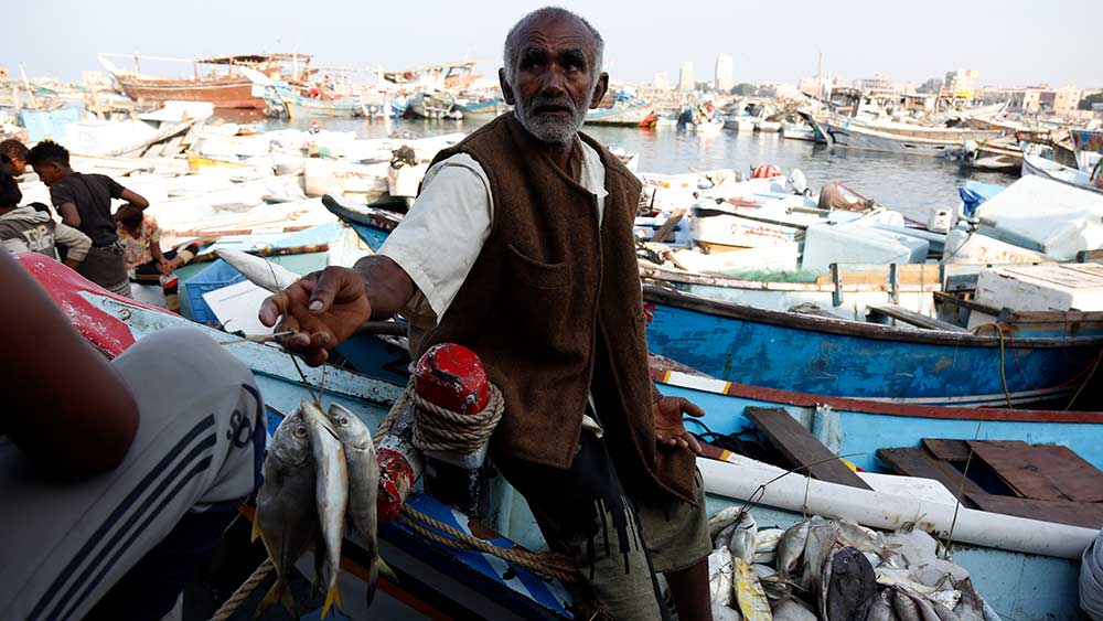 تضرر صناعة صيد الأسماك في اليمن بسبب الحرب