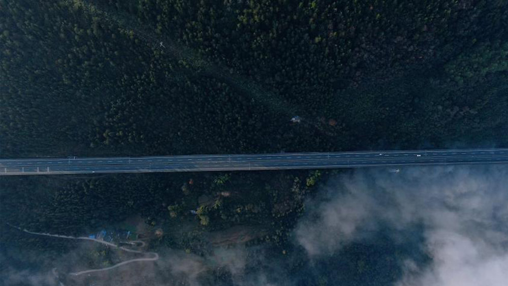 بادونغ، هوبى: طريق سريع يخترق الغابة وبحر الغيوم