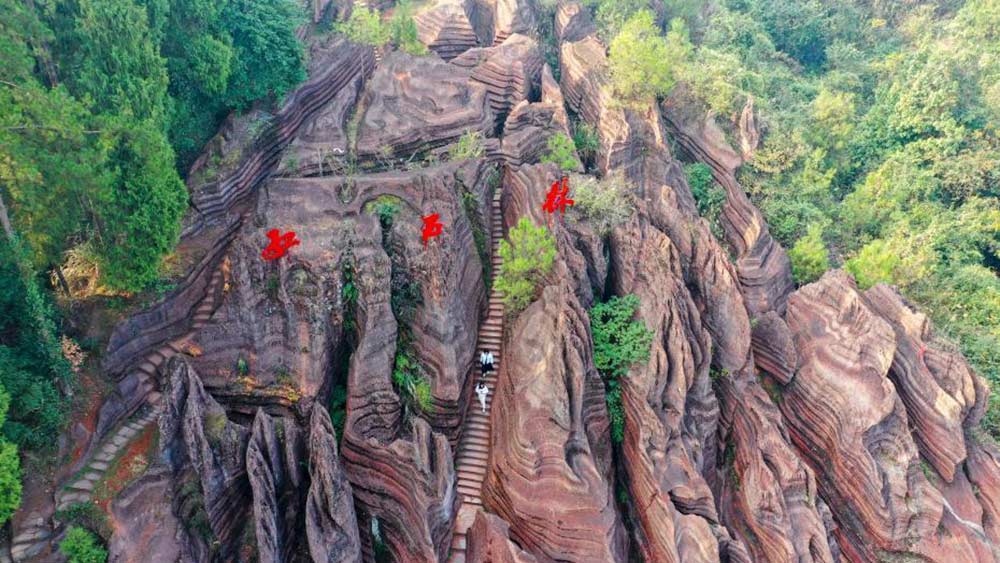 تزايد عدد السائحين في غابات هونغ شيلين بمقاطعة هونان