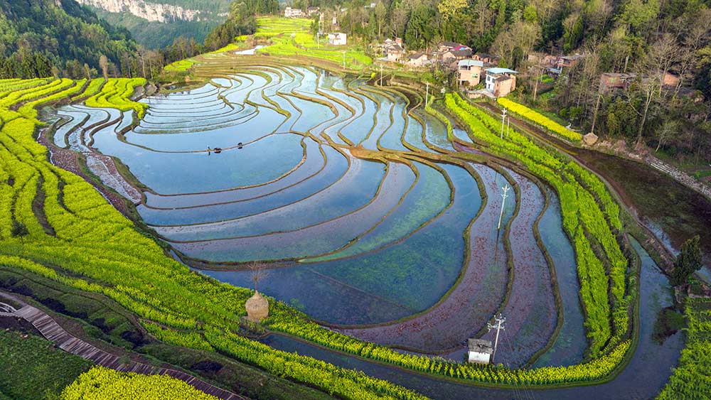 الزراعة الربيعية في أنحاء الصين