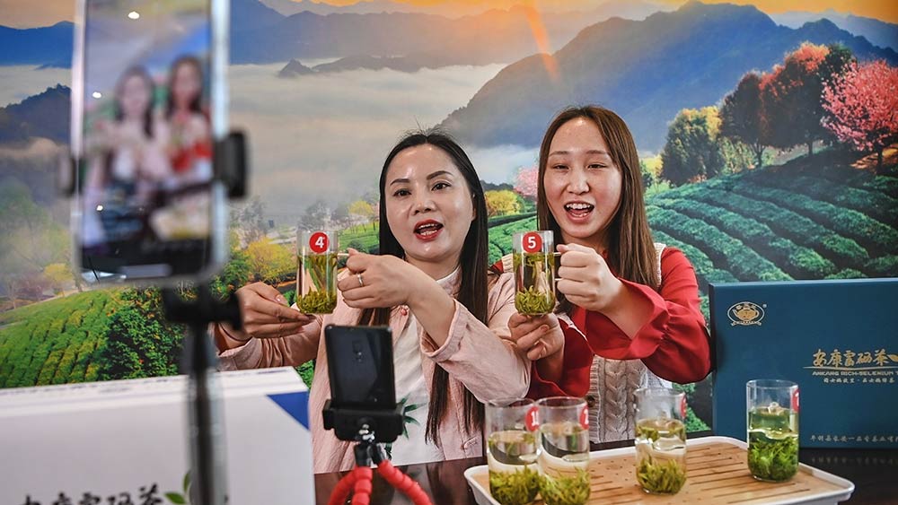 تعزيز صناعة الشاي في محافظة بينغلي بشمال غربي الصين