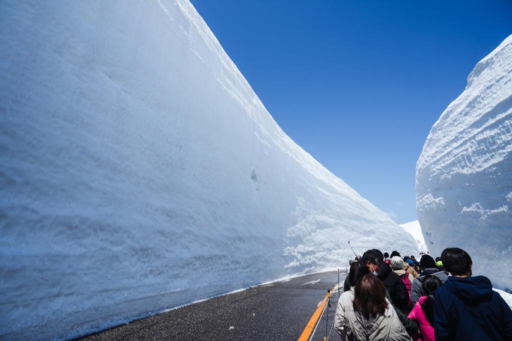 الصور: ثلوج الربيع في اليابان