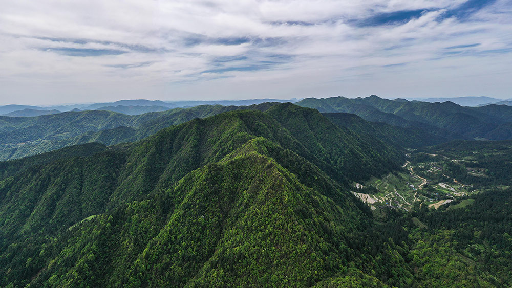 موقع للتراث الطبيعي العالمي لليونسكو-- جبل فانجينغ جنوب غربي الصين