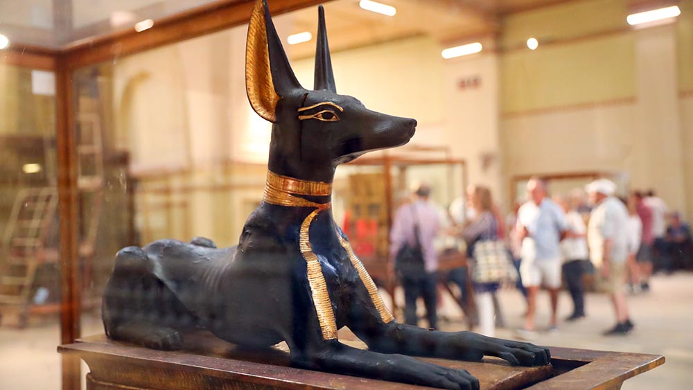 الصور: الإله أنوبيس بالمتحف المصري بالقاهرة