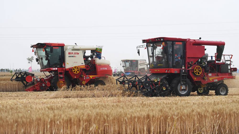 "سباق آلات الحصاد" في حقول القمح بمقاطعة خنان وسط الصين