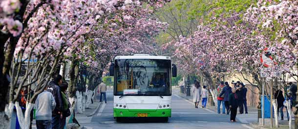 الصين الجميلة: طريق الزهور، ممر الربيع