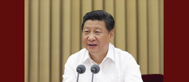 الرئيس شي يدعو إلى دور أفضل للمنظمات الجماهيرية