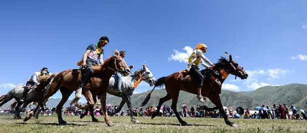 القوة والشجاعة: سباق الحصان في مرج باتانغ في تشينغهاي