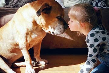 الصداقة بين الفتاة والكلب