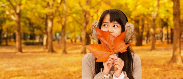 البحث عن أجمل المناظر في الخريف