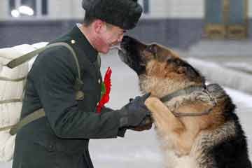 الكلب العسكري: الصديق المخلص