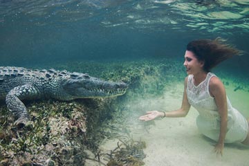 الحسناء الايطالية تسبح مع التمساح تحت المياه