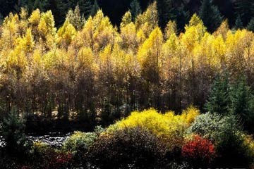 الصين الجميلة: الخريف الساحر في جبال تشيليان