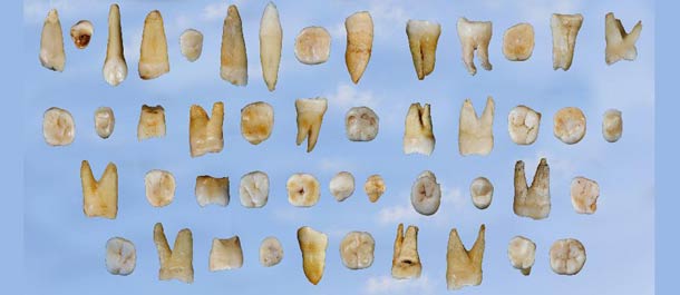 اكتشاف أسنان في الصين تعيد كتابة تاريخ الإنسان الأول